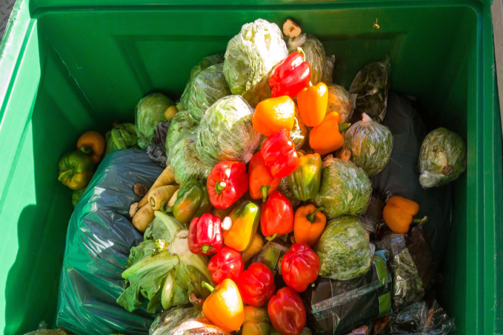 New platform to target food waste supported by major UK brands