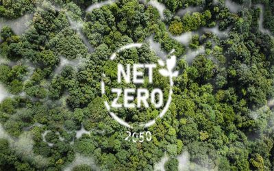 National Housing Federation responds to net zero target revisions